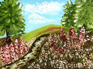 Sentiero dei fiori sinuoso