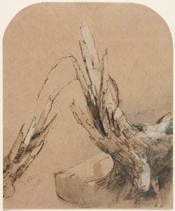 Un Albero Devastato, 1851 da Jasper Francis Cropsey