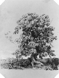 Paesaggio con albero e un villaggio in lontananza (dall