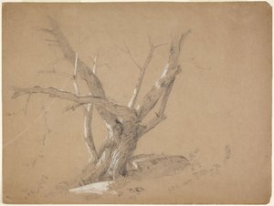 Studio di un albero da Jasper Francis Cropsey