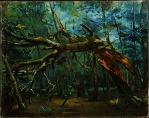 Un albero caduto