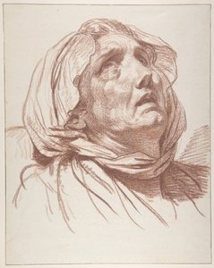 Testa di una vecchia donna che guarda in alto