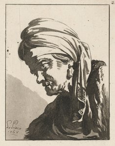 Testa di un