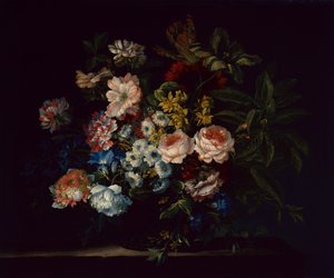 Rose, Garofani, Giacinti e Fiori da Jean Baptiste Monnoyer