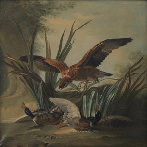 Un falco che attacca una coppia di anatre da Jean-Baptiste Oudry