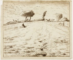 Paesaggio - Collina di Gruchy, Normandia