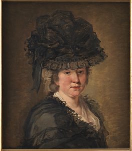 Ritratto di una signora da Jean-Honore Fragonard