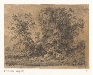 Gruppo di alberi
