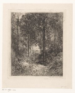 Paesaggio boschivo da Jean Alexis Achard