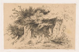 Cespugli su un terrapieno da Jean Alexis Achard