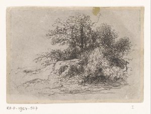 Cespuglio da Jean Alexis Achard