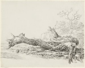 Un Albero Antico Caduto Accanto a un Ruscello da Jean Antoine Constantin