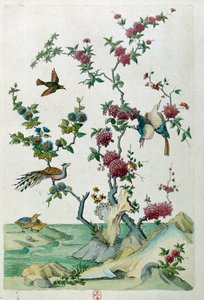 Disegno da un vaso cinese: uccelli e fiori. Dipinto di Jean Antoine Fraisse (XVIII secolo) da Jean Antoine Fraisse