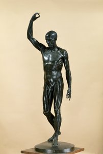 Corpo scuoiato (L