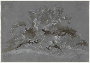 Studio di erbacce, 1800-1850