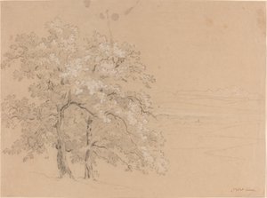 Alberi illuminati dal sole davanti a un paesaggio panoramico da Jean Antoine Linck