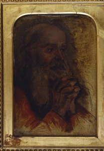 Studio della testa di un vecchio per "Gesù tra i dottori"