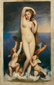 Venere Anadyomene ... da Jean Auguste Dominique Ingres