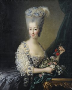 Principessa Maria Teresa di Savoia 1756-1805, Contessa d