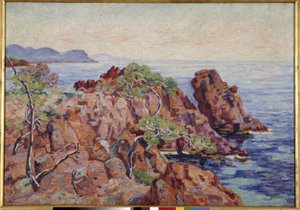 La roccia di Gaupillat al Trayas da Jean Baptiste Armand Guillaumin