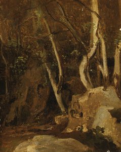 A Civita Castellana, rocce boscose, 1825-28
