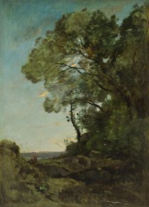 Paesaggio arboreo (sera)