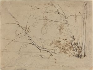 Gruppo di alberi a Civita Castellana da Jean Baptiste Camille Corot