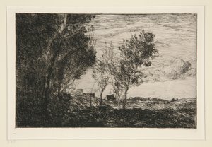 Nelle dune: ricordo del bosco dell