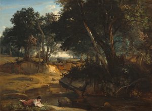 Foresta di Fontainebleau da Jean Baptiste Camille Corot