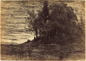 Bosco dell