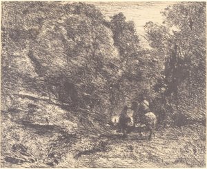 Cavaliere e Vagabondo nella Foresta