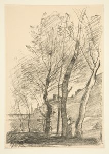 La Lettura sotto gli Alberi da Jean Baptiste Camille Corot