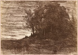 Il bosco dell