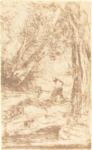 Il taglialegna di Rembrandt Le Bucheron de Rembrandt