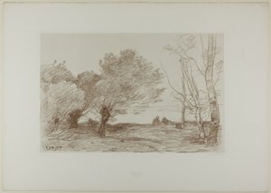 Salici e pioppi bianchi da Jean Baptiste Camille Corot