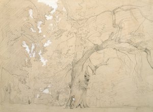 Giovane uomo davanti a una grande quercia, c.1840