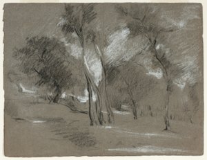 Paesaggio con alberi
