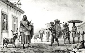 Casa in affitto, cavallo e capra in vendita, da 