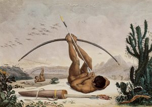 Arcieri nativi, illustrazione dai Viaggi nell