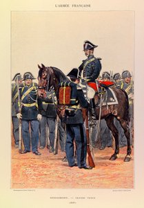 Tipi e uniformi dell