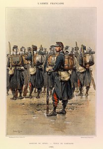 Tipi e uniformi dell