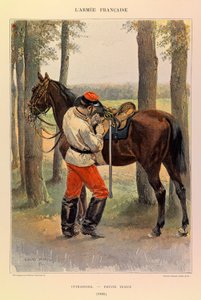 Tipi e uniformi dell