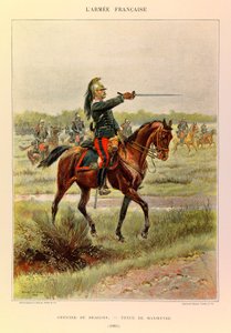 Tipi e uniformi dell