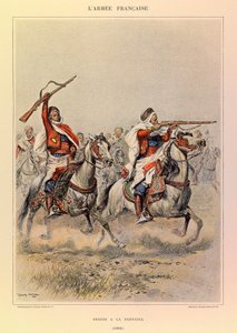 Tipi e uniformi dell