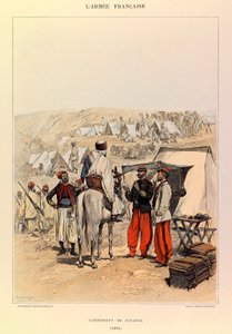 Tipi e uniformi dell