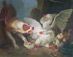 Un Cane che Attacca le Oche da Jean Baptiste Huet