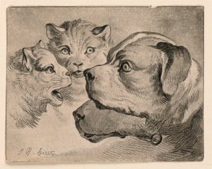 Teste di gatti e cani da Jean Baptiste Huet