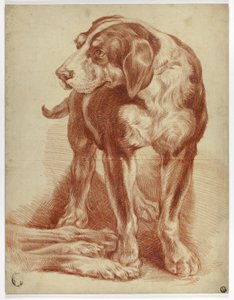 Mastino in piedi da Jean Baptiste Huet