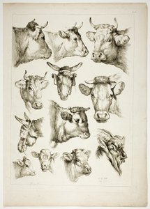 Tavola 35 di 38 da Oeuvres de J. B. Huet