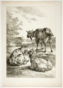 Tavola diciotto di 38 da Oeuvres de J. B. Huet da Jean Baptiste Huet